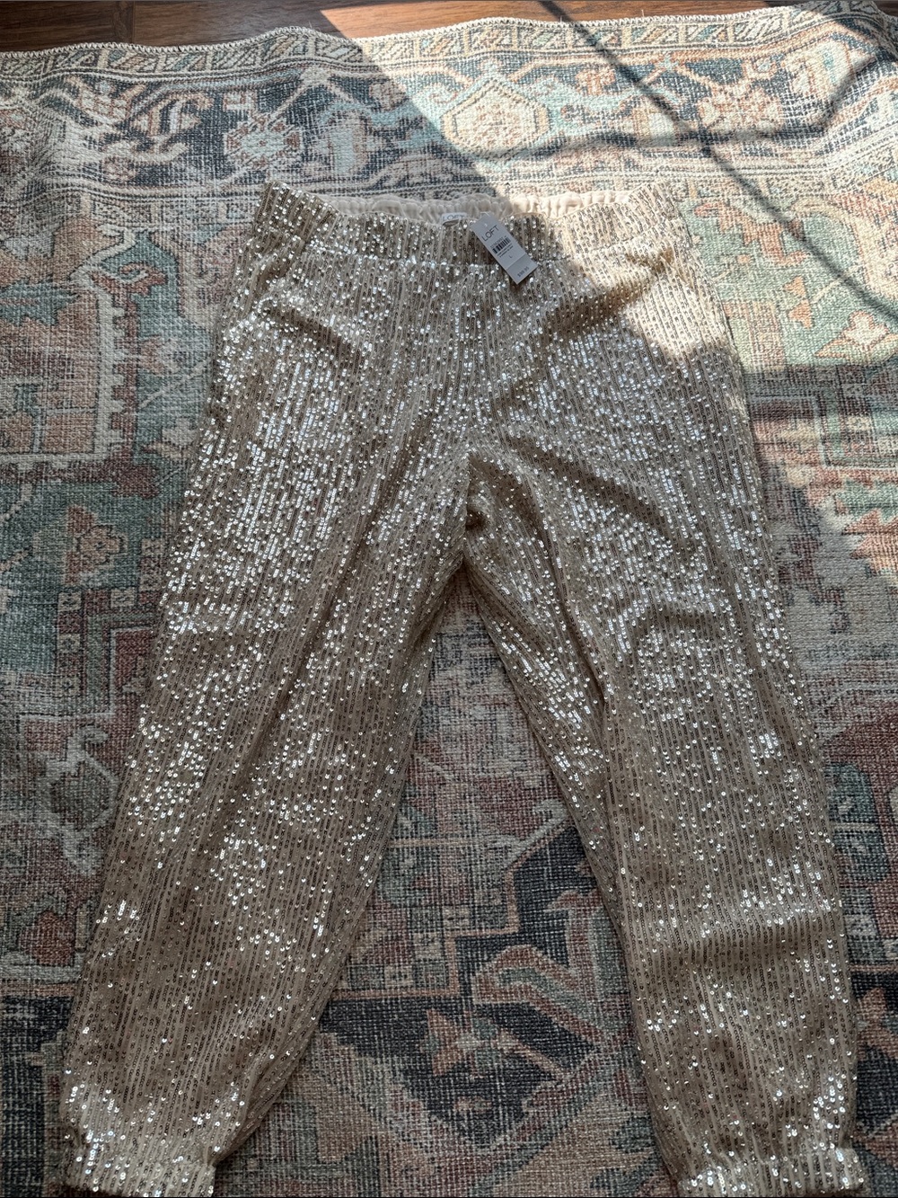 Womens Sequin Jogger Pants - Champagne Gold Loft